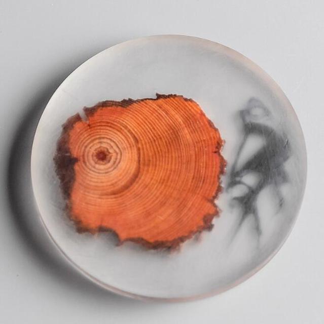 Natural Wood & Resin Coasters